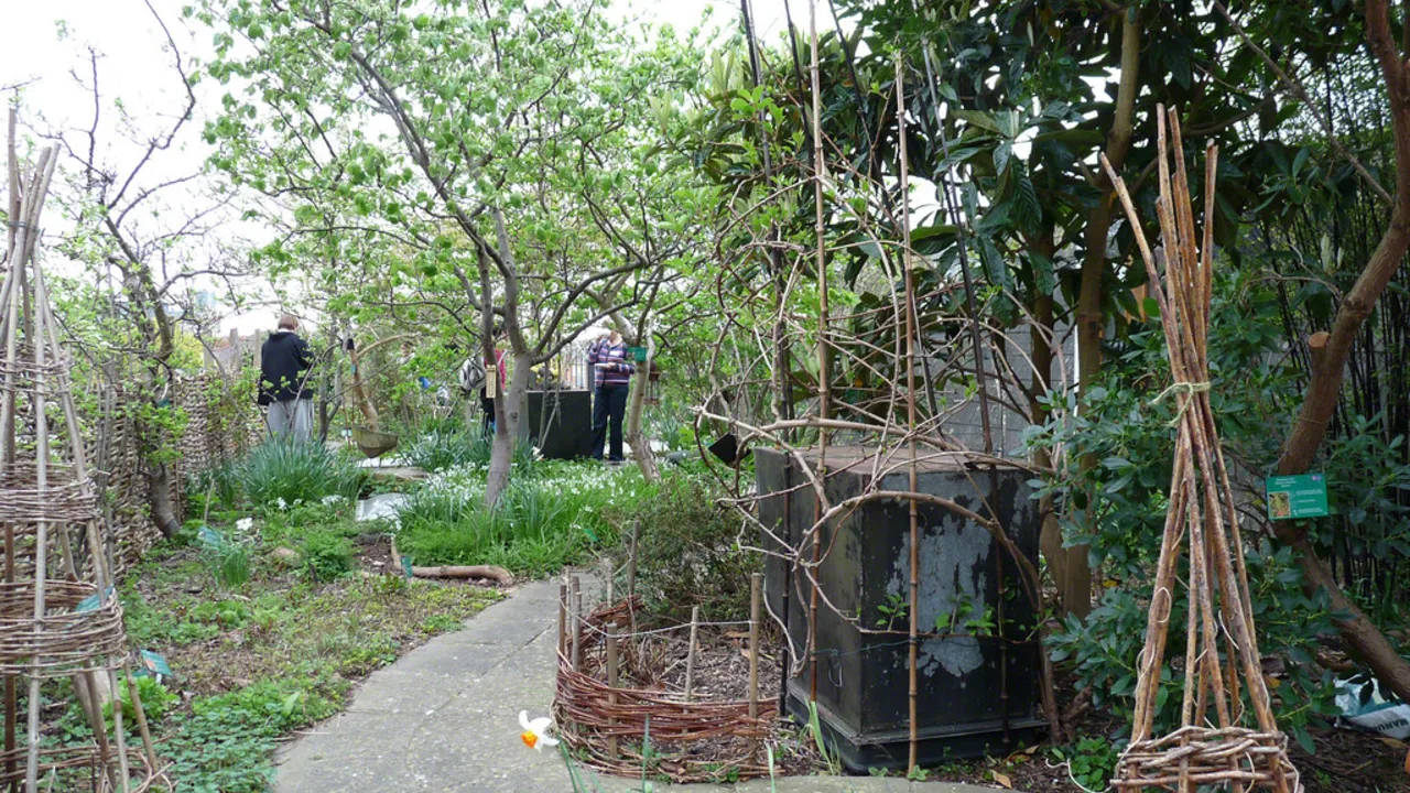 Full forest garden