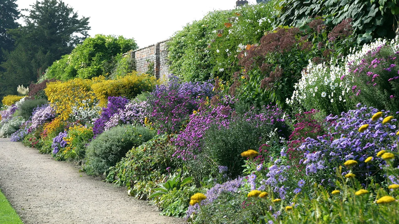 Low-input perennial polyculture