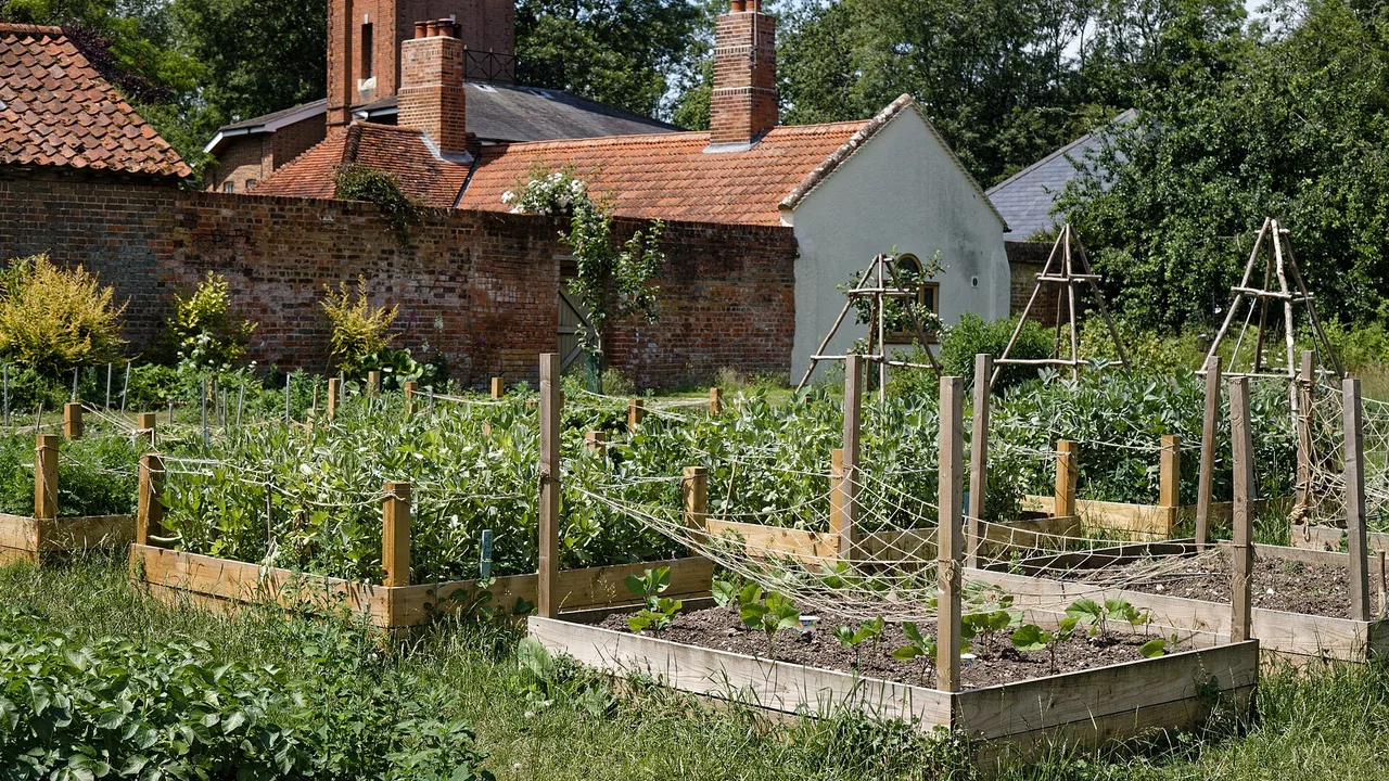 No-dig kitchen garden
